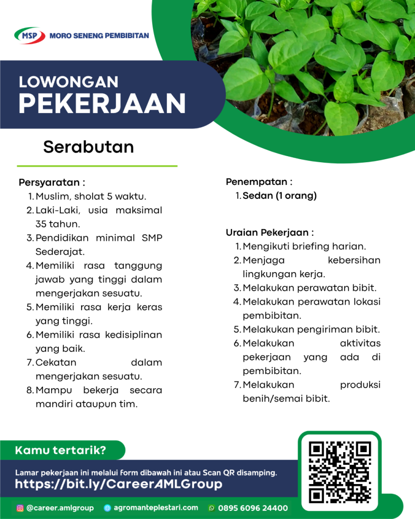 Serabutan